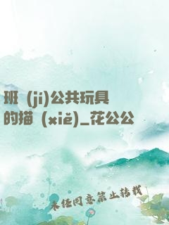 班級(jí)公共玩具的描寫(xiě)