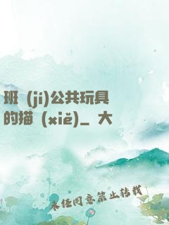 班級(jí)公共玩具的描寫(xiě)