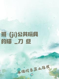 班級(jí)公共玩具的描寫
