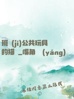 班級(jí)公共玩具的描寫