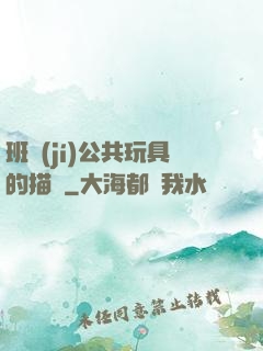 班級(jí)公共玩具的描寫