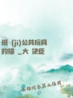 班級(jí)公共玩具的描寫