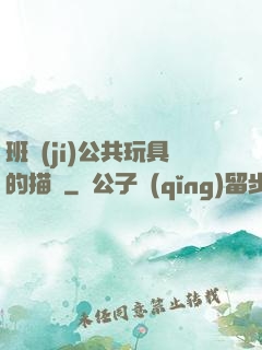 班級(jí)公共玩具的描寫