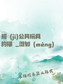 班級(jí)公共玩具的描寫