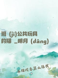 班級(jí)公共玩具的描寫