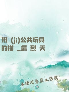 班級(jí)公共玩具的描寫