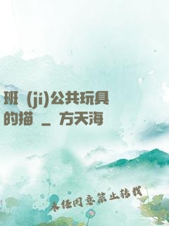 班級(jí)公共玩具的描寫