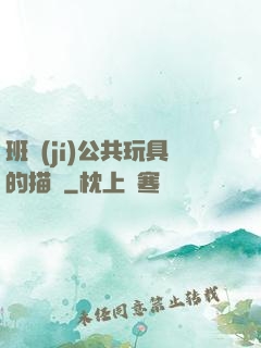 班級(jí)公共玩具的描寫