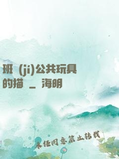 班級(jí)公共玩具的描寫