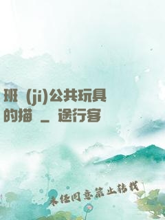 班級(jí)公共玩具的描寫