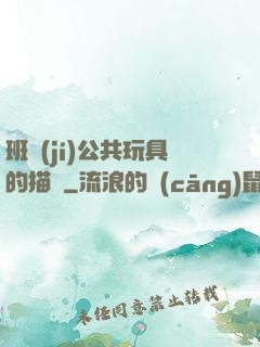 班級(jí)公共玩具的描寫