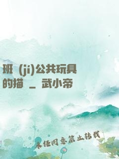 班級(jí)公共玩具的描寫