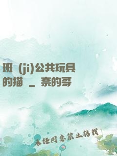 班級(jí)公共玩具的描寫