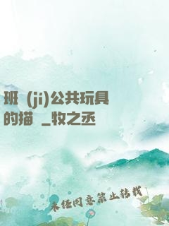 班級(jí)公共玩具的描寫