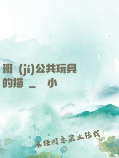 班級(jí)公共玩具的描寫