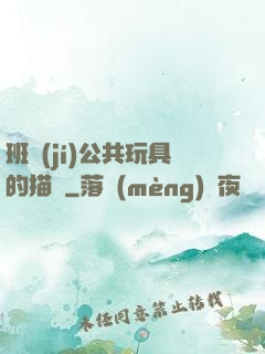 班級(jí)公共玩具的描寫