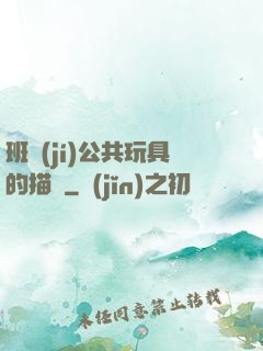 班級(jí)公共玩具的描寫