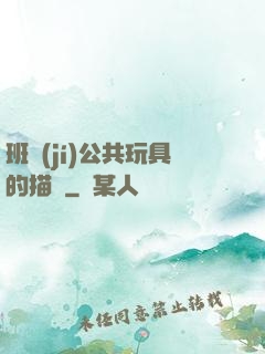 班級(jí)公共玩具的描寫