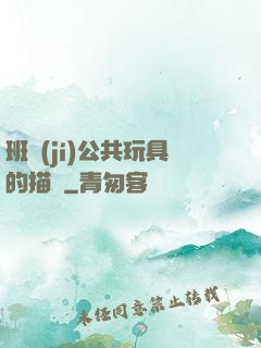 班級(jí)公共玩具的描寫