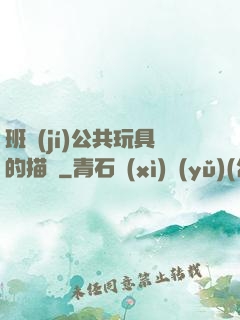 班級(jí)公共玩具的描寫