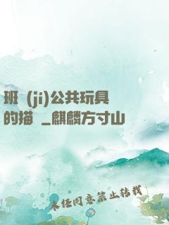 班級(jí)公共玩具的描寫