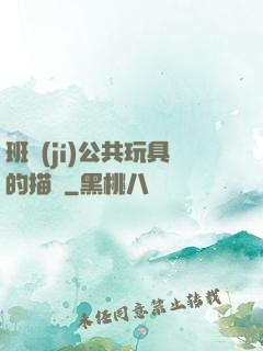 班級(jí)公共玩具的描寫