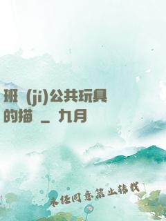 班級(jí)公共玩具的描寫