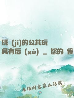 班級(jí)的公共玩具有后續(xù)嗎