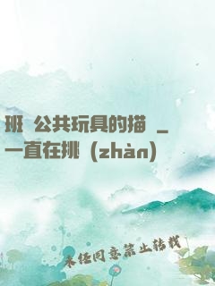 班級公共玩具的描寫