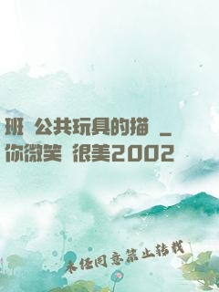 班級公共玩具的描寫