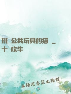 班級公共玩具的描寫