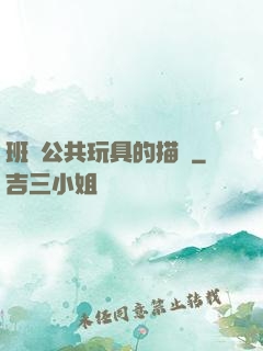 班級公共玩具的描寫