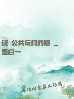 班級公共玩具的描寫
