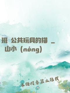班級公共玩具的描寫
