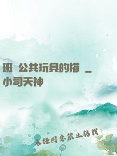 班級公共玩具的描寫