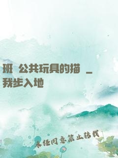 班級公共玩具的描寫