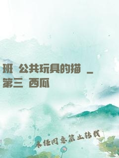 班級公共玩具的描寫