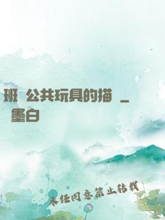 班級公共玩具的描寫