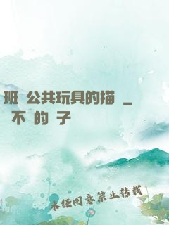 班級公共玩具的描寫