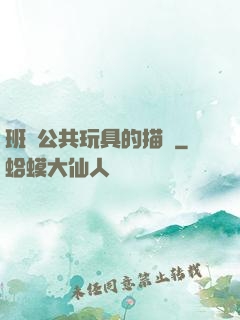 班級公共玩具的描寫