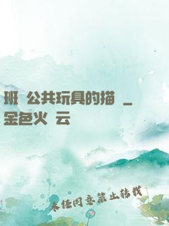 班級公共玩具的描寫