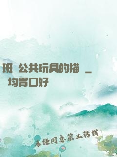 班級公共玩具的描寫