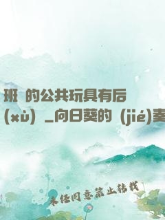 班級的公共玩具有后續(xù)嗎
