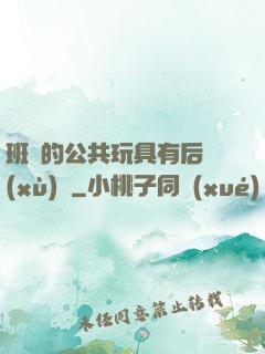 班級的公共玩具有后續(xù)嗎