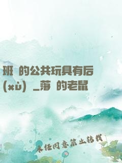 班級的公共玩具有后續(xù)嗎