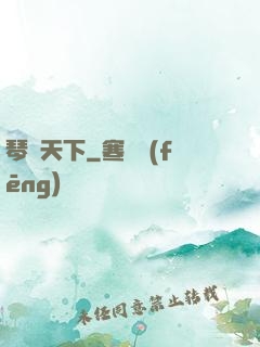 琴問天下
