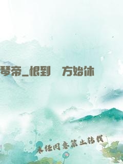 琴帝