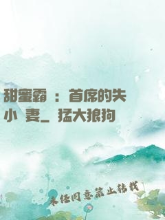 甜蜜霸寵：首席的失憶小嬌妻