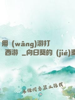 用網(wǎng)游打開西游記