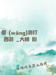 用網(wǎng)游打開西游記